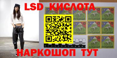 ПСИЛОЦИБИНОВЫЕ ГРИБЫ Кингисепп