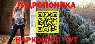 ПСИЛОЦИБИНОВЫЕ ГРИБЫ Кингисепп