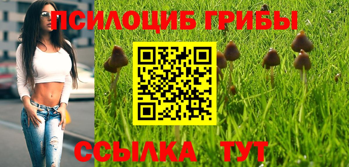 Псилоцибиновые грибы Cubensis  Галлюциногенные грибы мухоморы  Вход с VPN  Фролово 